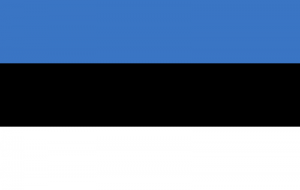 estonian flag