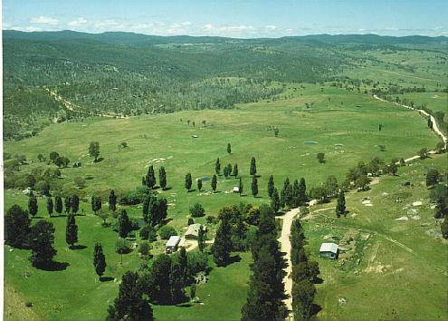 Tori horse Australia
